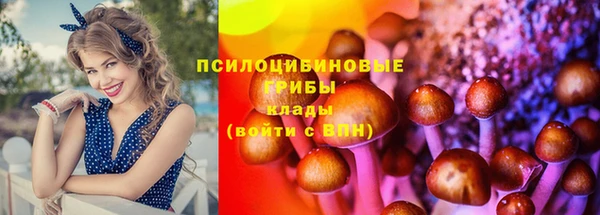 МДПВ Алексеевка