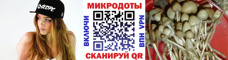 Псилоцибиновые грибы Magic Shrooms  закладки  Зарайск 